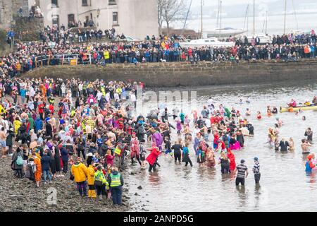 Loony Dook, 2020 Stock Photo