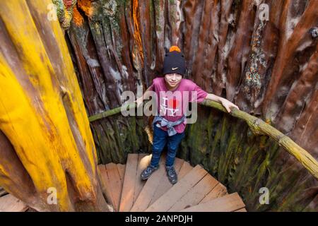 Ten year old boy at the Schmetterling House, Butterfly Zoo, Vienna, Austria. Stock Photo