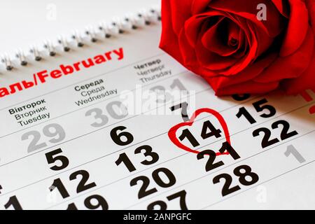 red-rose-lay-on-the-calendar-