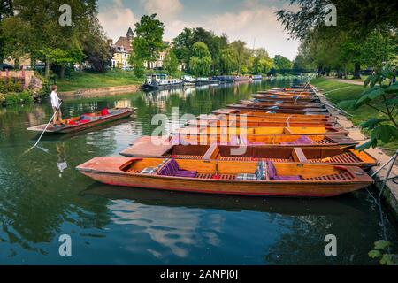 Man punting beside a row of moored punts on the River Cam Cambridge England Stock Photo