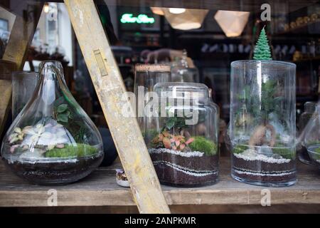 Flower arrangements in a glass jar on a shop window for interior decoration Stock Photo