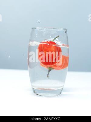 The Habanero (Ata-Rodo in Yoruba language) in a glass of water Stock Photo