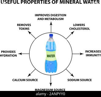 Useful properties of mineral water. Infographics. Vector illustration on isolated background. Stock Vector