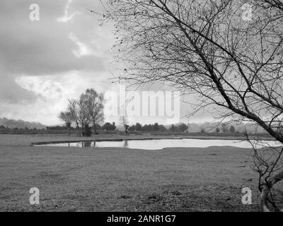 Green Pond: a dew pond on Fritham Plain in the New Forest, Hampshire, England, UK in Winter Stock Photo