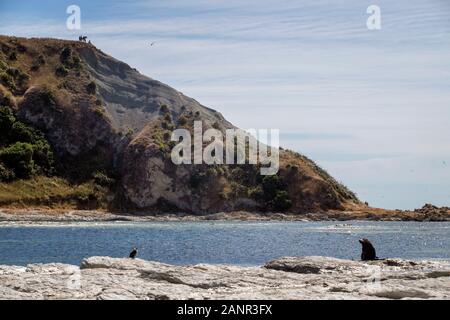 Kaikoura, New Zealand Stock Photo