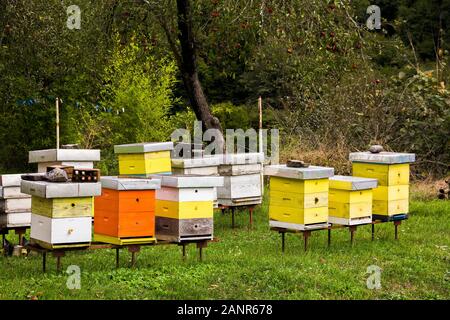 Medieval Apiary Stock Photo - Alamy