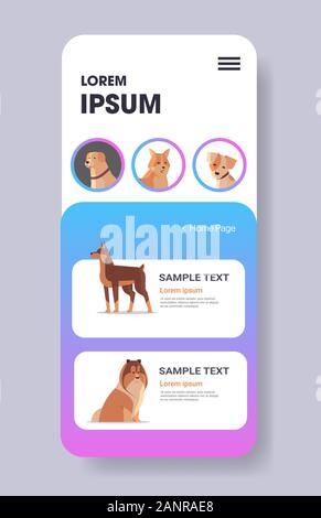 different dogs icons furry human friends pets website or online shop cartoon animals smartphone screen mobile app copy space vertical vector illustration Stock Vector