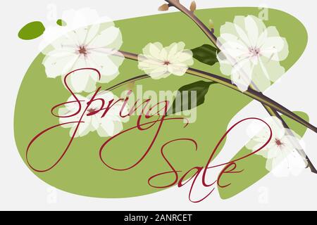 Almond tree white flowers with buds. Stock Vector