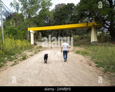 Young man walking on a path with two dogs, a black labrador and a brown little dog. There is a yellow structure, Tandil, Buenos Aires, Argentina. Stock Photo