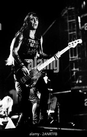 Toulon France, 21 September 1991 , Circuit Paul Ricard Live Concert of Iron Maiden : Steve Harris Stock Photo