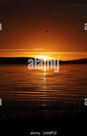Dundee, UK. 19th January 2020. Sunrise over Invergowrie Bay near Dundee. A dramatic start to another cold day in Tayside.  © Stephen Finn/17�Թ����� Live News Stock Photo