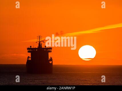 Myrtleville, Cork, Ireland. 19th January, 2019. A winters sunrise silhouettes the superstructure of the oil tanker Stenberg, as she lays at anchor off the coast near Myrtleville, Co. Cork, Ireland. - Credit; David Creedon / Alamy Live News Stock Photo