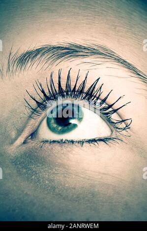 close up of an open female eye Stock Photo