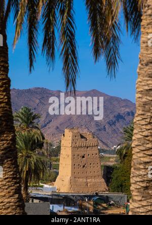 Traditional old mud house in the middle of plam trees, Najran Province, Najran, Saudi Arabia Stock Photo