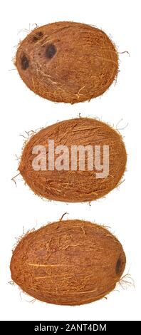 set of coconut on a white isolated background with clipping path Stock Photo