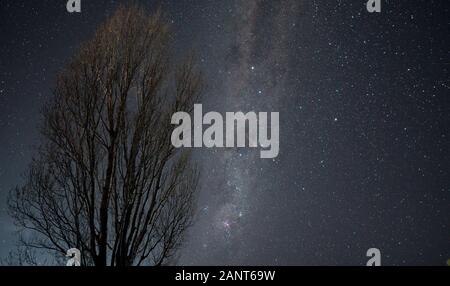 Milky way arcing over a leafless tree with a fireball meteor trail floating in the centre of the Milky Way Stock Photo