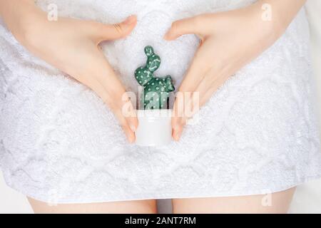 Depilation bikini zone. Woman holding green smooth cactus in hand, white color top view. Gynecology concept Stock Photo