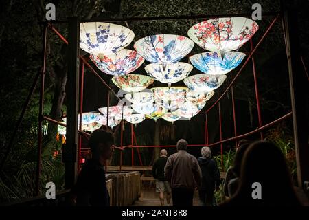 Sanford, Fla/USA - Dec 29, 2019: The Asian Lantern Festival, Into the Wild, at the Central Florida Zoo & Botanical Gardens featured over 30 LED lanter Stock Photo