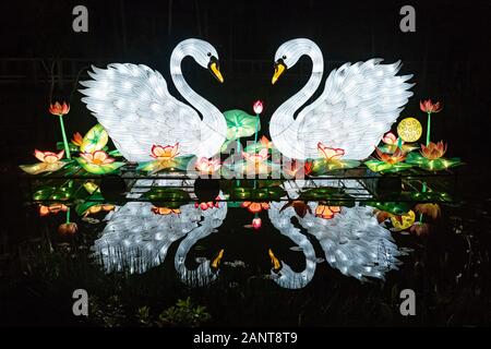 Sanford, Fla/USA - Dec 29, 2019: The Asian Lantern Festival, Into the Wild, at the Central Florida Zoo & Botanical Gardens featured over 30 LED lanter Stock Photo