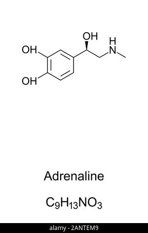 Adrenaline molecule, epinephrine skeletal formula. Structure of C9H13NO3. Hormone, medication and neurotransmitter. Stock Photo