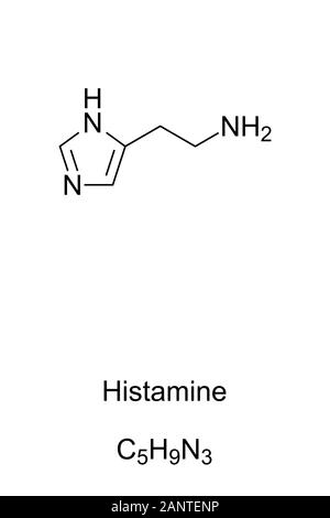 Histamine molecule, skeletal formula. Structure of C5H9N3, is acting as neurotransmitter in the brain and is involved in the inflammatory response. Stock Photo