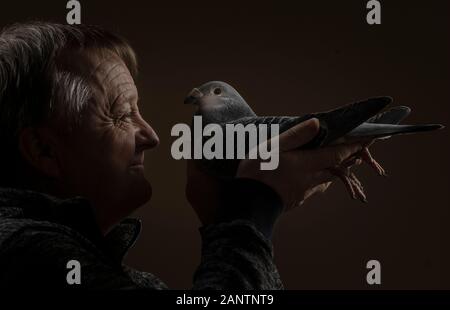 John Bell holding his show racer pigeon during British Homing World Show of the Year, the largest pigeon show of its kind in Europe, at the Winter Gardens in Blackpool. Stock Photo