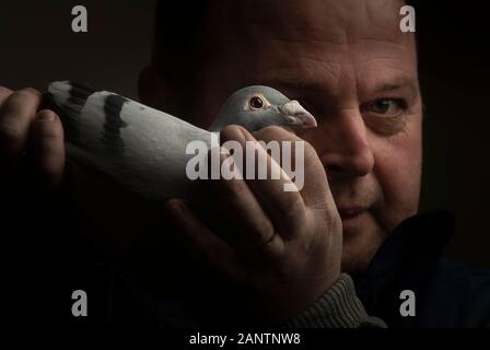 Timmy Mawhinney holding his 200 mile category, champion racing pigeon, during British Homing World Show of the Year, the largest pigeon show of its kind in Europe, at the Winter Gardens in Blackpool. Stock Photo