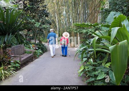 An elderly couple walking on a path at Marie Selby Botanical Gardens in Sarasota, Florida, USA. Stock Photo