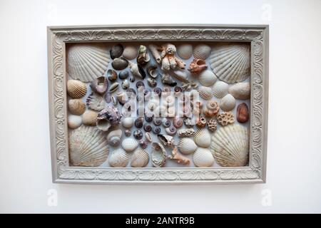 Seashells and corals composition in wooden picture frame isolated on white background Stock Photo