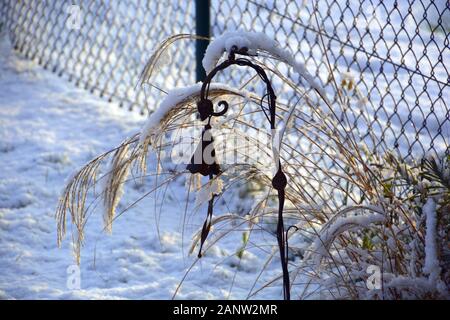 snow covered a metal winter garden decoration in front of chain-link fence, snow idyll with ornamental grass and metal bell jar in garden Stock Photo