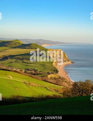 Jurassic Coast, Dorset, UK. 19th January 2020: An afternoon of glorious sunshine and crisp blue skies on the Jurassic Coast. After weeks of heavy rain and high winds, the stunning West Dorset coastline is bathed in winter sunshine on a bright and chilly winters day.  View of the Jurassic coast from Golden Cap looking out over West Bay and Portland. Golden Cap. Credit: Celia McMahon/Alamy Live News. Stock Photo