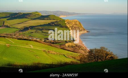 Jurassic Coast, Dorset, UK. 19th January 2020: An afternoon of glorious sunshine and crisp blue skies on the Jurassic Coast. After weeks of heavy rain and high winds, the stunning West Dorset coastline is bathed in winter sunshine on a bright and chilly winters day.  View of the Jurassic coast from Golden Cap looking out over West Bay and Portland. Golden Cap. Credit: Celia McMahon/Alamy Live News. Stock Photo