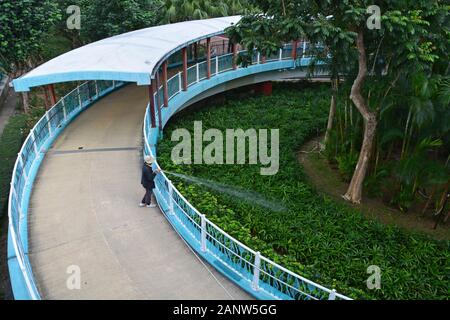 A women waters the plants in a garden at the pedestrian overpass in Quarry Bay Park in Hong Kong.