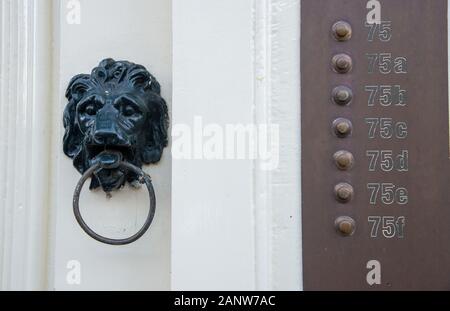 old fashioned lion head doorknokker at door in Delft, Hollanddoor Stock Photo