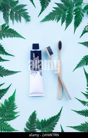 Two eco bamboo toothbrushes and charcoal mint natural toothpaste on blue background with fern leaves. Eco friendly concept. Zero waste. Top view. Stock Photo
