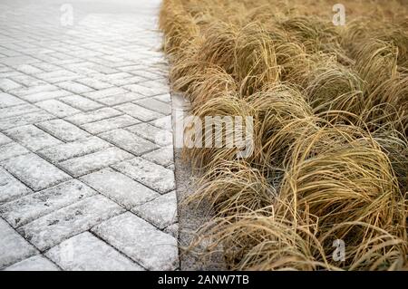 Cobbled pavement, curb and lawn with dry grass, covered with hoarfrost in the winter. Stock Photo