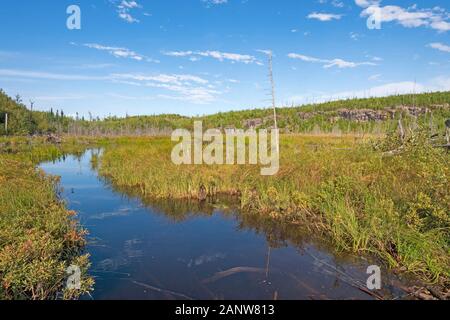 Canoe Trail Through a Bog on Muskeg Lake in the Boundary Waters in Minnesota Stock Photo