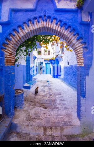 Chefchaouen, a city with blue painted houses and narrow, beautiful, blue streets, Morocco, Africa Stock Photo