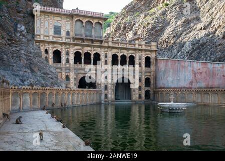 Monkey Temple, Hanuman Ji Temple, Jaipur, India Stock Photo