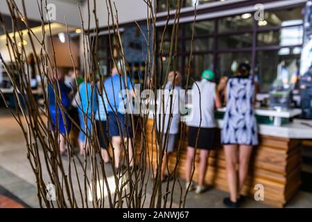branches of leafless interior small tree selective focus against a group of senior people standing on tasting room bar counter in the background Stock Photo