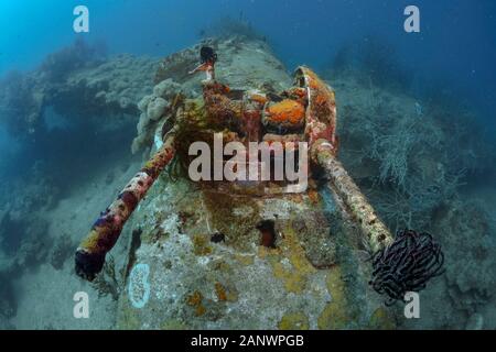 A B-25 Mitchell Bomber plane wreck, Madang, Pacific Ocean, Papua New Guinea Stock Photo