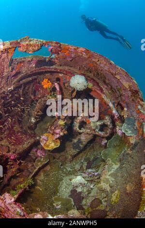 A female diver investigating the cockpit of a B-25 Mitchell Bomber plane wreck, Madang, Pacific Ocean, Papua New Guinea (MR), MR Stock Photo