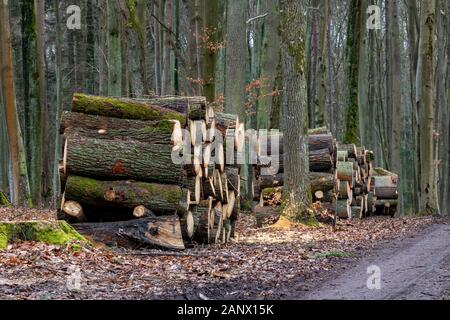 A pile of wood arranged along a forest road. Wood prepared for export. Season winter. Stock Photo