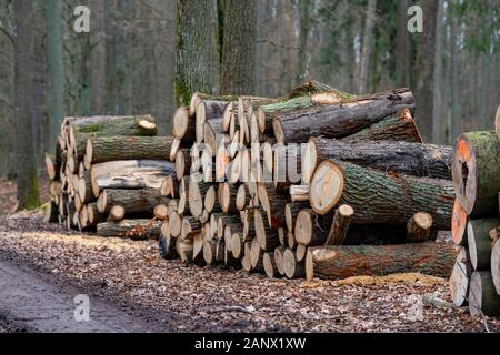 A pile of wood arranged along a forest road. Wood prepared for export. Season winter. Stock Photo