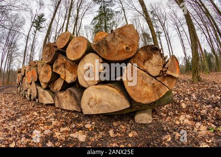A pile of wood arranged along a forest road. Wood prepared for export. Season winter. Stock Photo