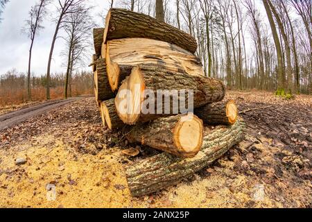 A pile of wood arranged along a forest road. Wood prepared for export. Season winter. Stock Photo