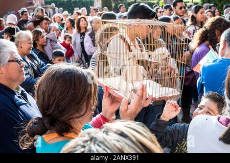 Pet owners and their pets gather for the annual blessing of the animals on the feast day of San Antonio Abad at Oratorio de San Felipe Neri church January 17, 2020 in the historic center of San Miguel de Allende, Guanajuato, Mexico. Stock Photo
