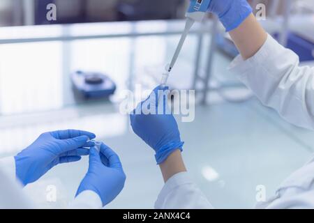 Two Young scientists working  in a laboratory and doing research, microbiological analysis, medicine. Stock Photo
