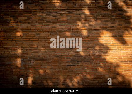brick wall of red  wide panorama Background of old vintage brick wall Stock Photo