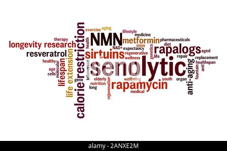 Senolytic static word cloud. Typography. Stock Photo